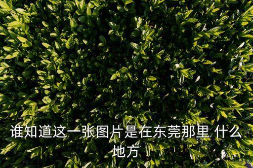 誰知道這一張圖片是在東莞那里 什么地方