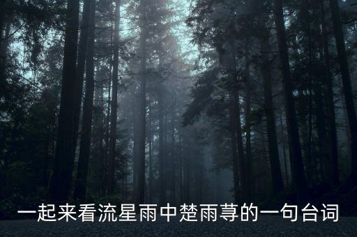 楚雨蕁臺詞，楚雨蕁經典臺詞
