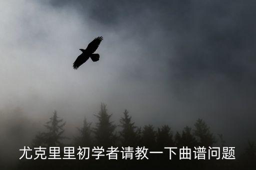 尤克里里初學者請教一下曲譜問題