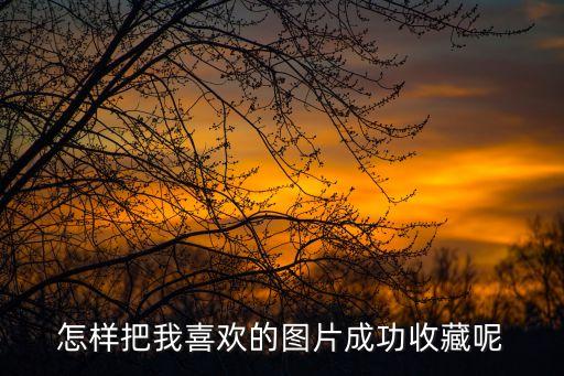 怎樣把我喜歡的圖片成功收藏呢