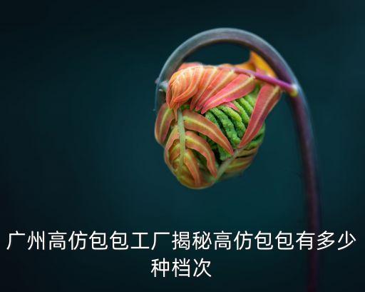 東莞gucci原單，品牌女裝什么牌子知明度比較高