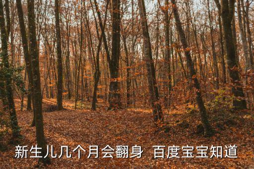 新生兒幾個(gè)月會(huì)翻身  百度寶寶知道