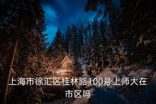 上海市徐匯區(qū)桂林路100號(hào)上師大在市區(qū)嗎