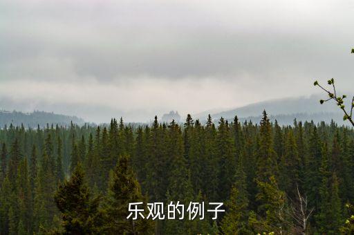 樂觀的例子