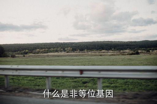 非等位基因的概念，什么是非等位基因