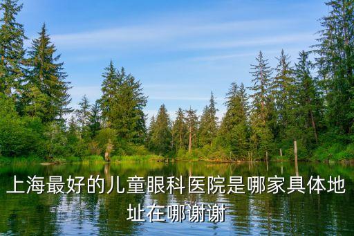 上海最好的兒童眼科醫(yī)院是哪家具體地址在哪謝謝