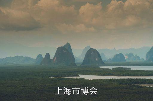 上海市博會
