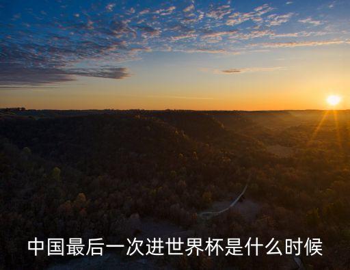 中國最后一次進世界杯是什么時候