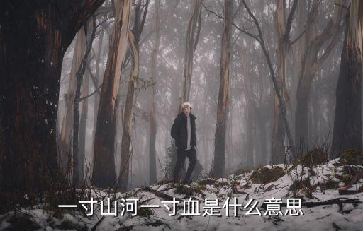 一寸山河一寸血是什么意思