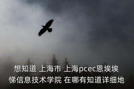想知道 上海市 上海pcec恩埃埃悌信息技術學院 在哪有知道詳細地