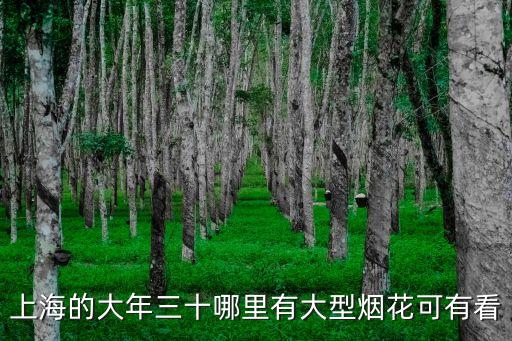 上海的大年三十哪里有大型煙花可有看