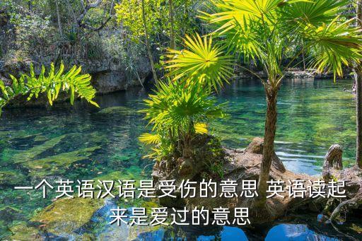 一個英語漢語是受傷的意思 英語讀起來是愛過的意思