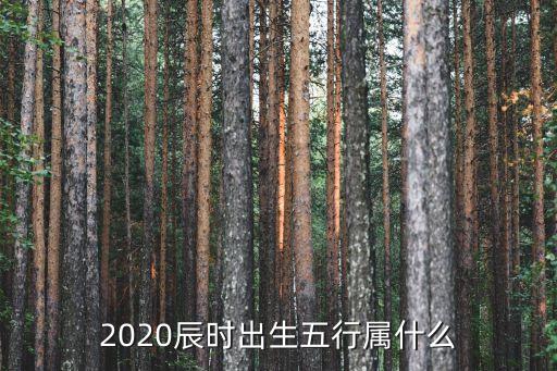 2020辰時出生五行屬什么