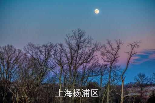 上海楊浦區