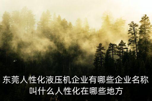 SVH東莞品牌機械，東莞希思克是做什么的