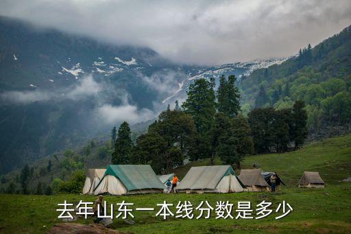 去年山東一本線分?jǐn)?shù)是多少