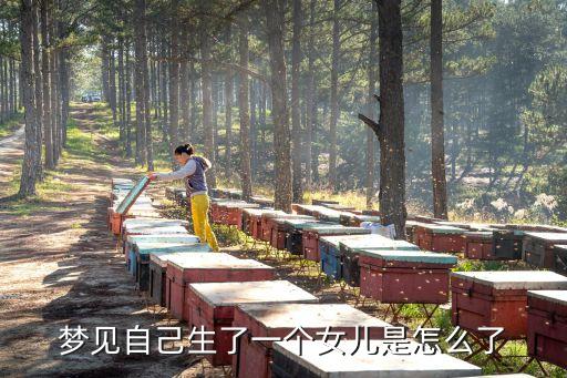 夢見自己生了一個女兒是怎么了