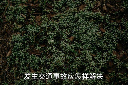 發生交通事故應怎樣解決