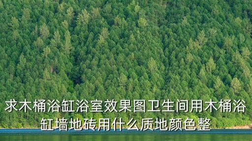 浴缸裝修效果圖，我愛我家 裝修設(shè)計(jì)什么材質(zhì)的浴缸比較好