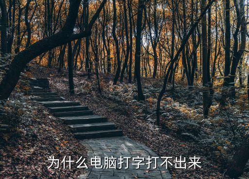 為什么電腦打字打不出來