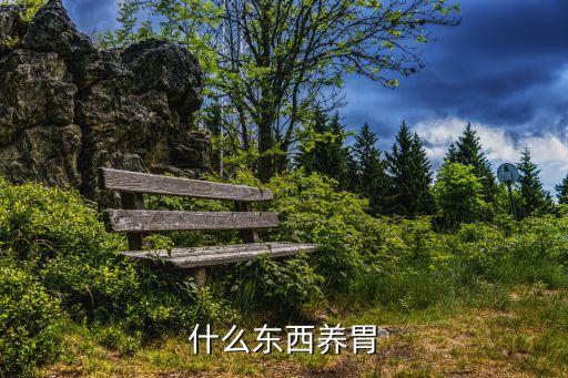 什么東西養胃