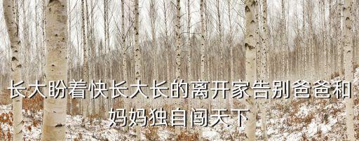 獨自闖天下，好看的末世小說是主角一個人單獨闖天下的