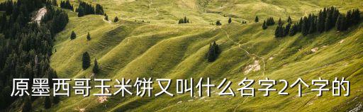 原墨西哥玉米餅又叫什么名字2個字的