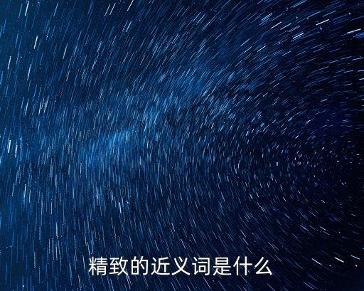 精致的近義詞是什么