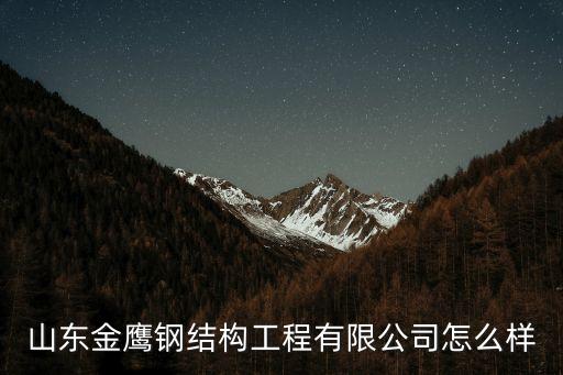 山東金鷹鋼結(jié)構(gòu)工程有限公司怎么樣