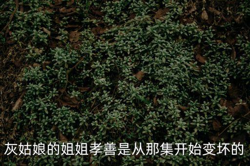 灰姑娘的姐姐孝善是從那集開始變壞的
