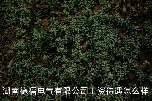 東莞市德福電氣，湖南德福電氣有限公司工資待遇怎么樣