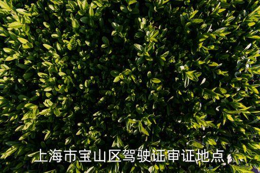 上海市寶山區駕駛證審證地點