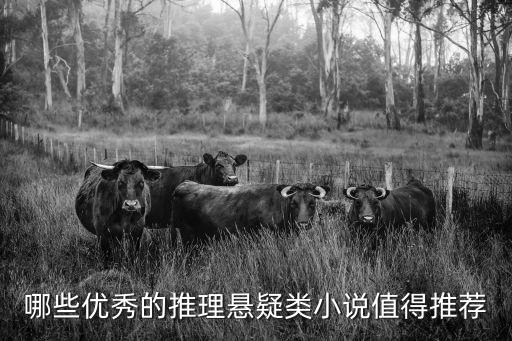 哪些優秀的推理懸疑類小說值得推薦