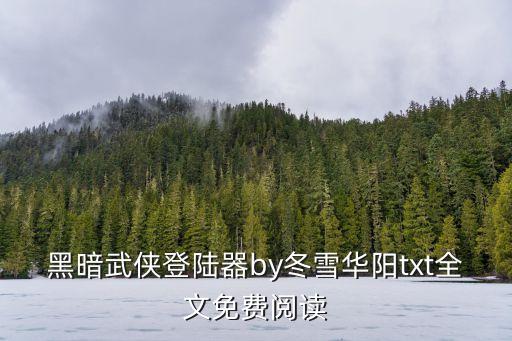 黑暗武俠登陸器by冬雪華陽txt全文免費閱讀