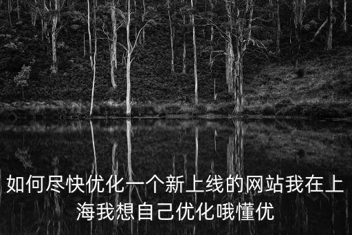 上海市政府網(wǎng)站的改進(jìn)措施，上海市政府網(wǎng)