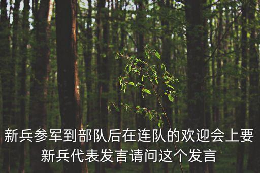 新兵參軍到部隊后在連隊的歡迎會上要新兵代表發言請問這個發言