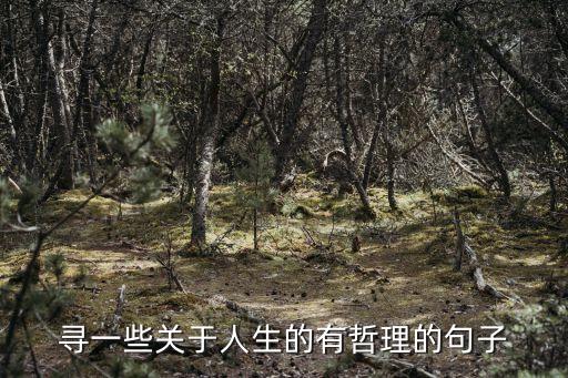 尋一些關(guān)于人生的有哲理的句子