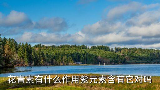 花青素有什么作用紫元素含有它對嗎