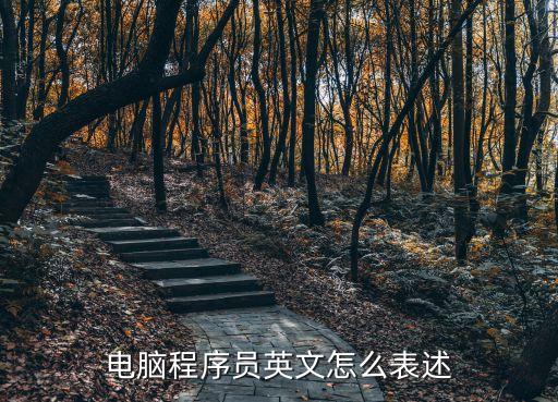 電腦程序員英文怎么表述
