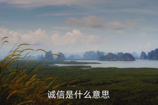 誠信是什么意思