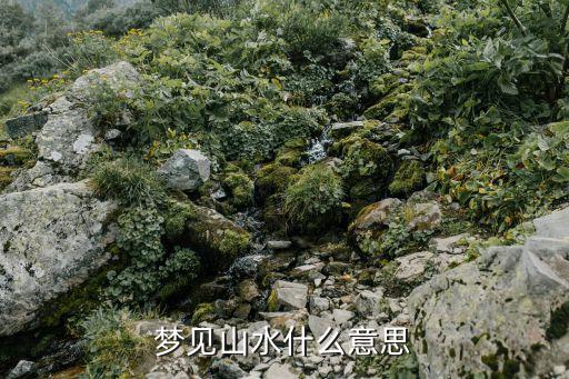 夢見山水什么意思