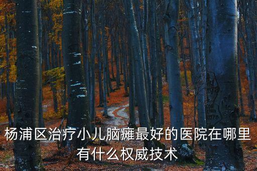 楊浦區治療小兒腦癱最好的醫院在哪里有什么權威技術