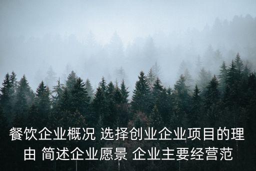 餐飲企業(yè)概況 選擇創(chuàng)業(yè)企業(yè)項目的理由 簡述企業(yè)愿景 企業(yè)主要經(jīng)營范