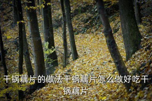 干鍋藕片，干鍋藕片的做法干鍋藕片怎么做好吃干鍋藕片
