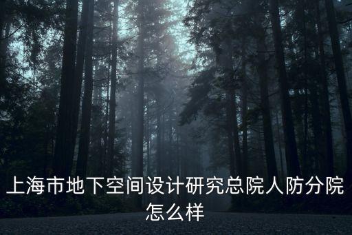 上海市地下空間設(shè)計研究總院人防分院怎么樣