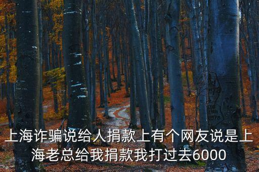 上海詐騙說給人捐款上有個網友說是上海老總給我捐款我打過去6000