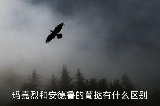 瑪嘉烈蛋撻，澳門的瑪嘉烈的蛋撻好吃還是安德魯餐廳的蛋撻好吃