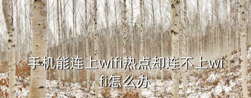 手機(jī)能連上wifi熱點(diǎn)卻連不上wifi怎么辦