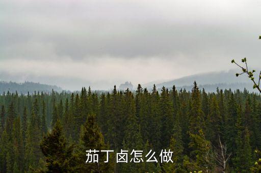 茄丁鹵怎么做