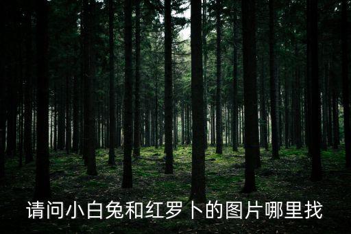 請問小白兔和紅羅卜的圖片哪里找